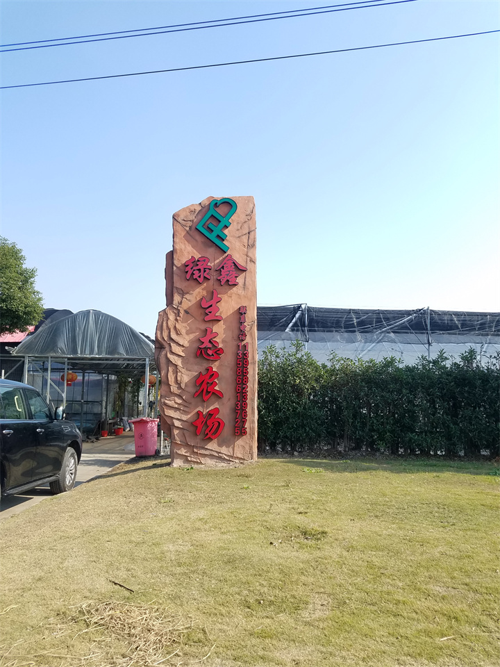 20191207_114312.jpg